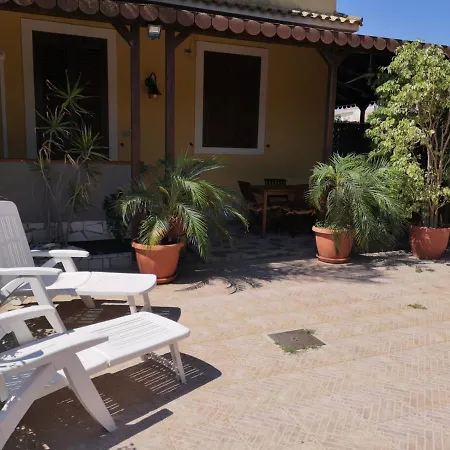 Xenia Garden 2